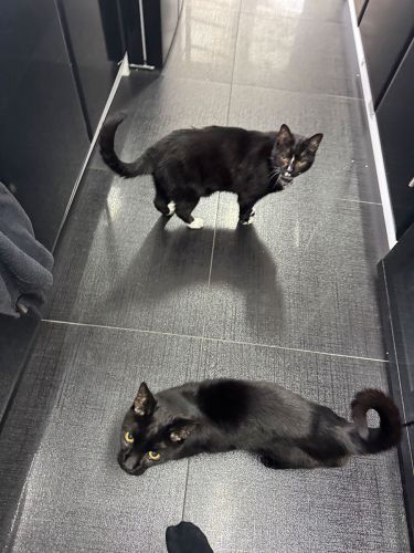 Quinny & Asa
